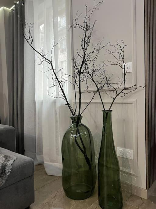 שטרסבורג Luxueux Appartement Pres De La Cathedrale מראה חיצוני תמונה